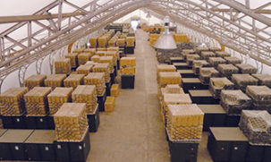 Warehouse Storage under a truss frame