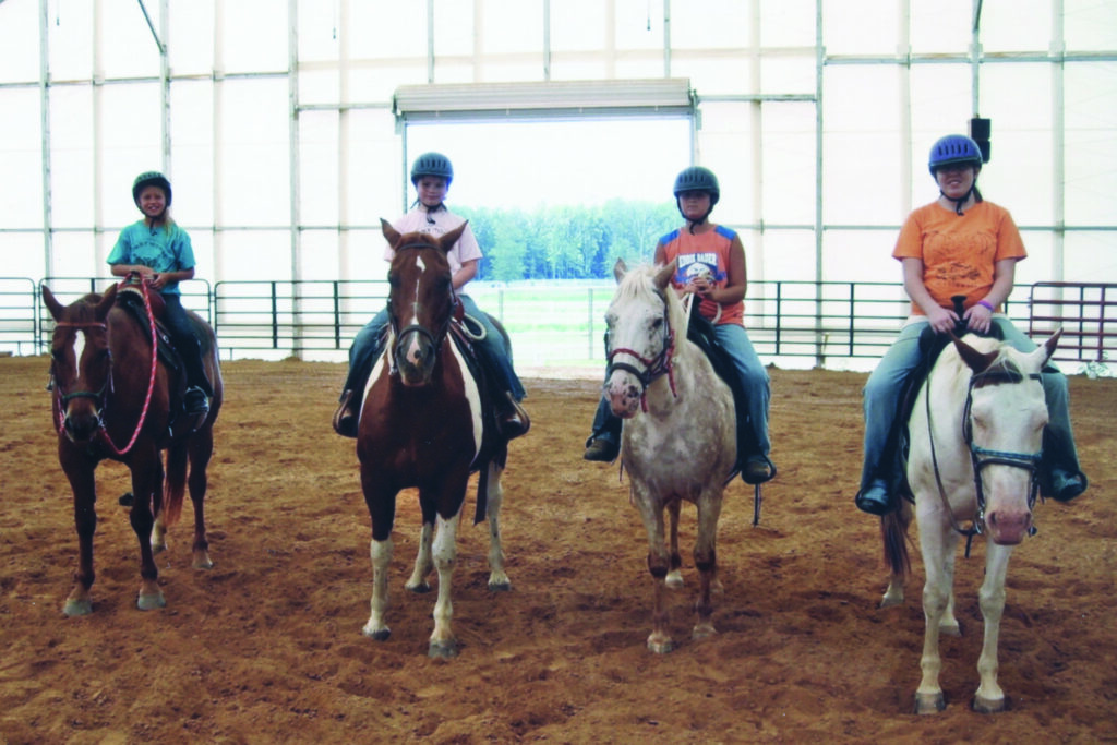 Hobby Horse Acres ClearSpan