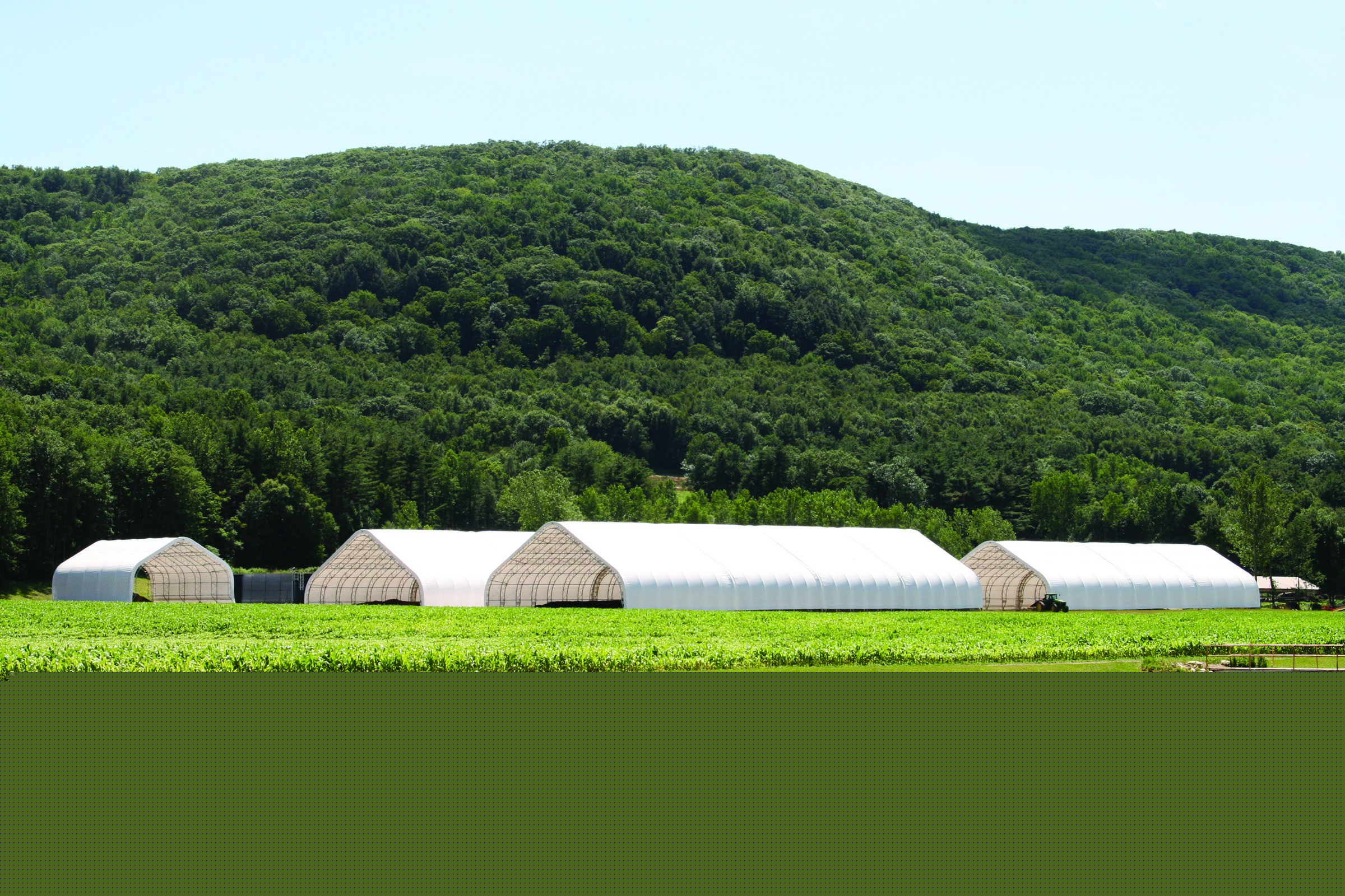Laurelbrook Farm