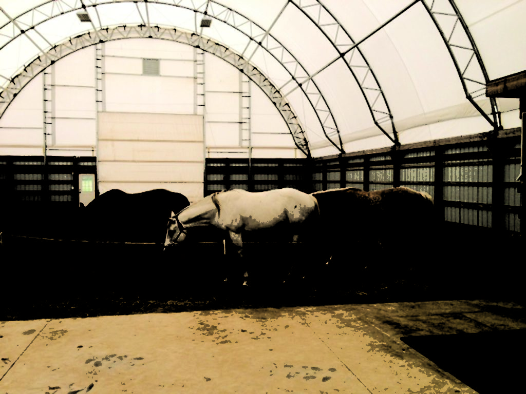 Sandy Ridge Ranch Sandy Ridge Farms | ClearSpan
