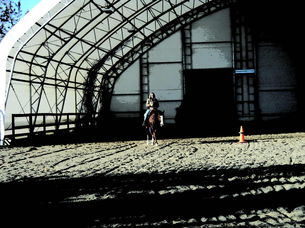 Show N Tail Performance Horses ClearSpan