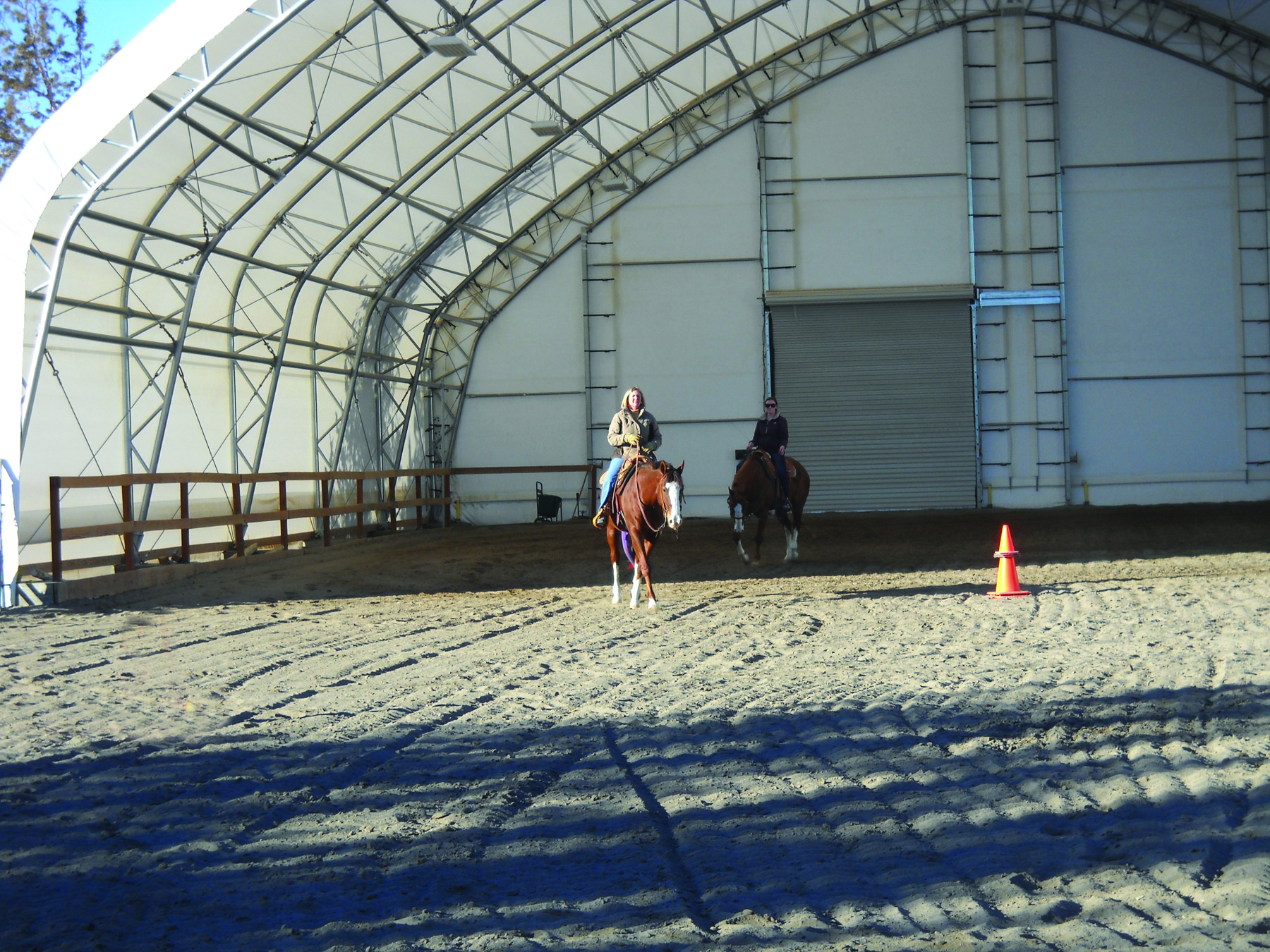 Show N Tail Performance Horses ClearSpan