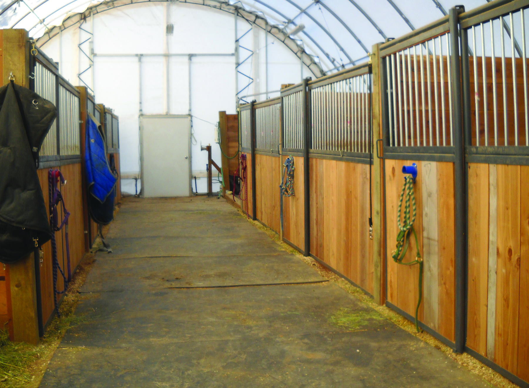 Show N Tail Performance Horses ClearSpan