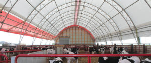 Fabric livestock barn