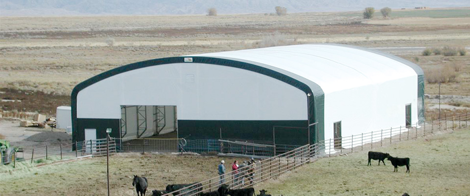 Cattle Buildings