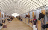 Horse barns