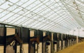 Industries - Equine