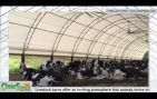 Dairy Barn in Burnt Chimney, VA by ClearSpan Fabric Structures