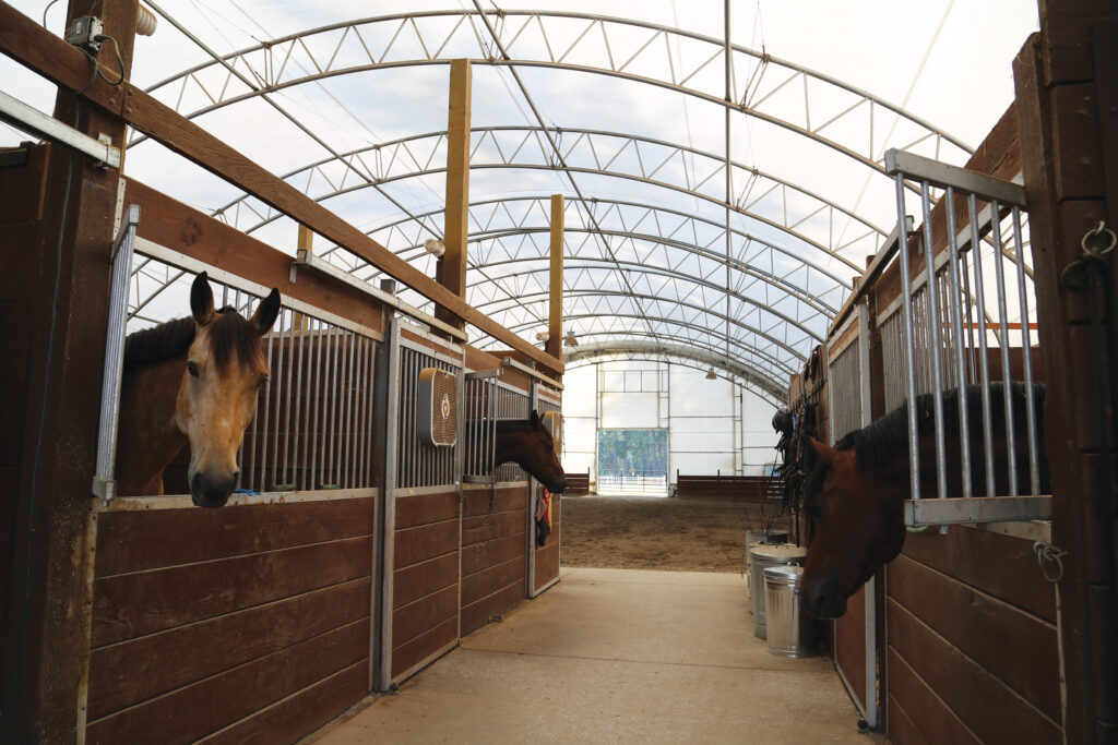 horses in stables inside fabric structure