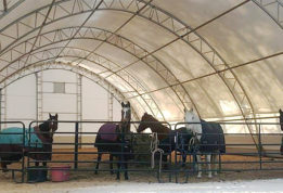 Legacy Farms - Horse Riding Arena