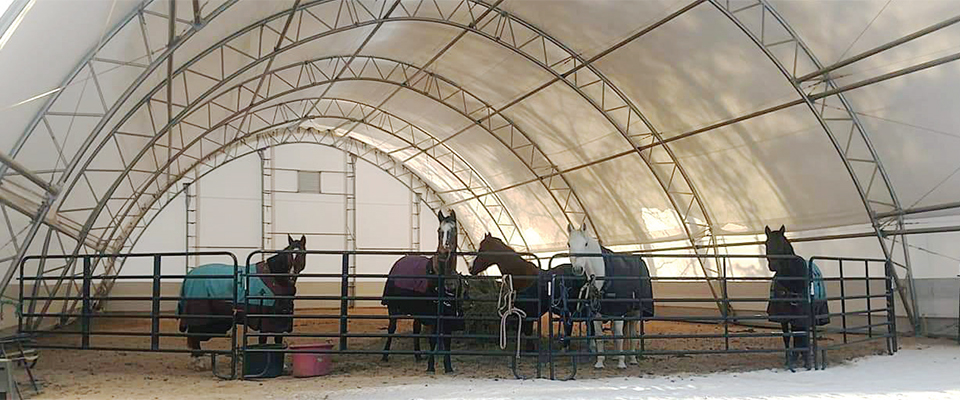 Legacy Farms - Horse Riding Arena