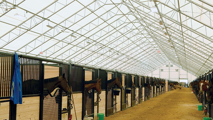 Hybrid Building Horse Stalls