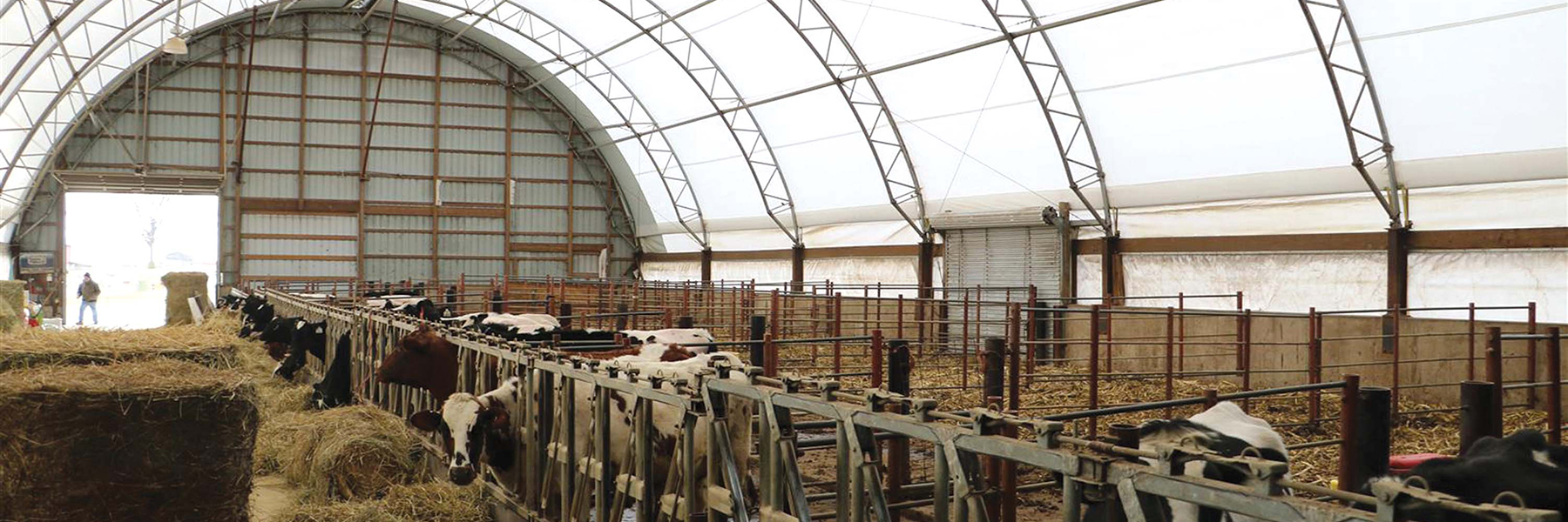 Dairy Buildings and Dairy Barns ClearSpan