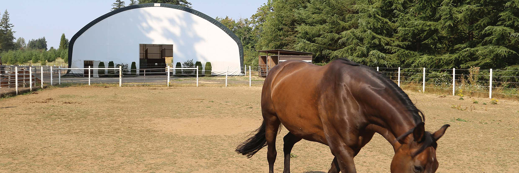 Horse Barns and Riding Arenas ClearSpan