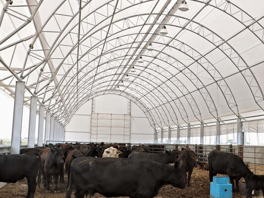 Livestock Fabric Building - Beef Master System