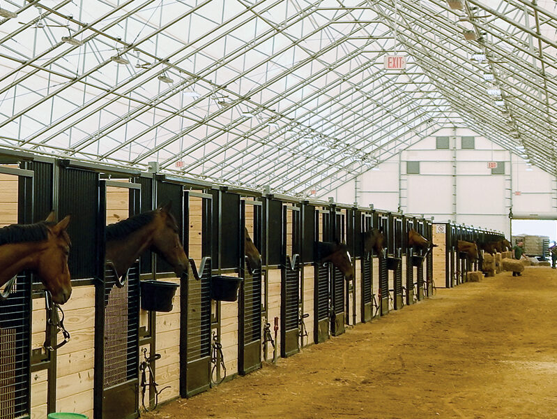 Horse Stalls under a fabric building