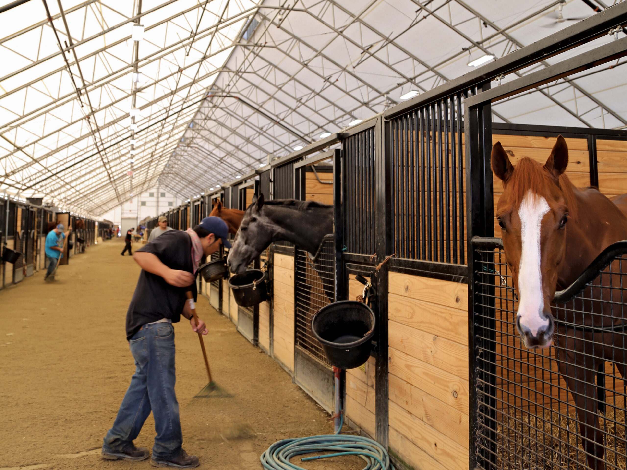 Working cleaning horse stalls under a ClearSpan Structure