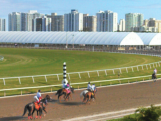 Industries - Equine