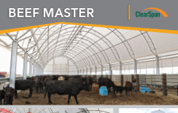 Beef Master Sell Sheet