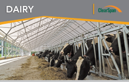 Dairy Sell Sheet