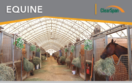 Equine Sell Sheet
