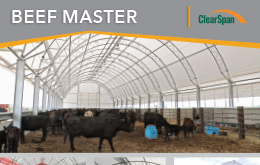 Beef Master Sell Sheet