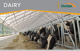 Dairy Sell Sheet