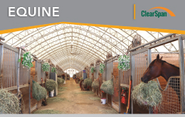 Equine Sell Sheet